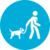 Walk Walk